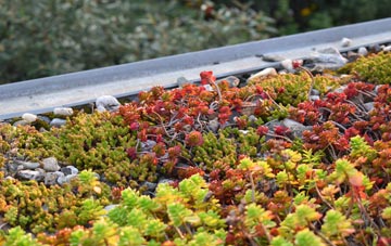 the cost of Cantsfield green roof installation