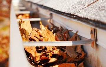 Cantsfield gutter cleaning companies