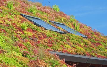 Cantsfield living roof systems