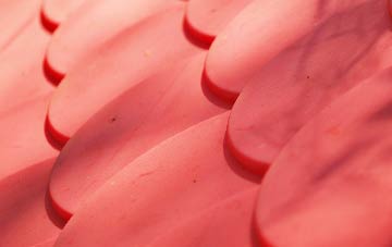 Cantsfield plastic roof costs