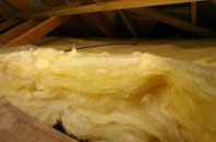 Cantsfield pitch roof insulation