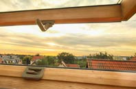 rated Cantsfield roof window companies
